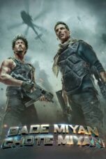 Bade Miyan Chote Miyan Download 2024 WEB-DL 2K