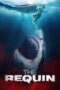 The Requin Online Watch Free