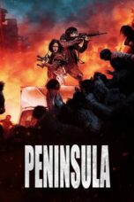 Peninsula Hindi Dubbed Download 2020 and Watch [Hindi-Korean and English] ORG GDrive