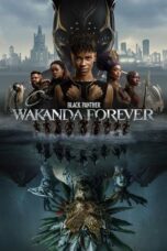 Black Panther Wakanda Forever Download 2022 and Watch Free [Hindi-English Audio] ORG GDrive