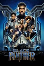 Black Panther Hindi Dubbed Download 2018 and Watch Free [Hindi-English Audio] ORG GDrive