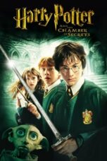 2-Harry Potter and the Chamber of Secrets Download 2002 and Watch [Dual Hindi-English Audio] ORG GDrive