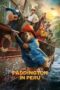 Paddington in Peru Movie Download 2024 Dual Audio [ORG Hindi & English] WEB-DL – 480P | 720P | 1080P GDrive & Free Watch