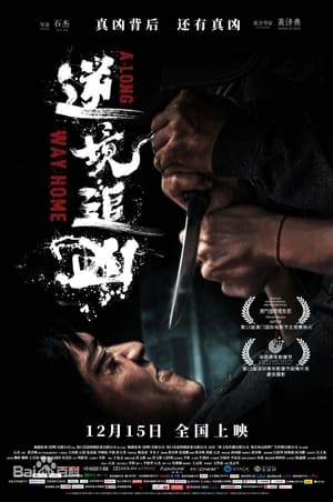 A Long Way Home Movie Download 2023 Dual Audio [ORG Hindi & Chinese] WEB-DL – 480P | 720P | 1080P GDrive & Free Watch