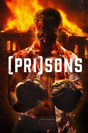 (Pri)sons Movie Download 2024 Dual Audio [ORG Hindi & English] WEB-DL – 480P | 720P | 1080P GDrive & Free Watch