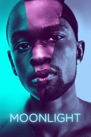 Moonlight Movie Download (2016) [ORG English] WEB-DL – 480P | 720P | 1080P GDrive & Free Watch